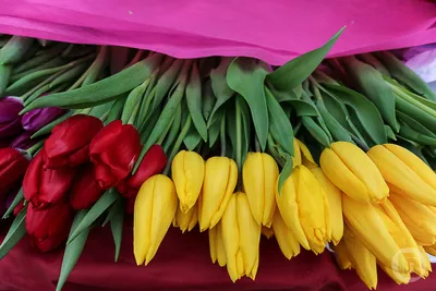 В Москве накануне 8 марта традиционно вырос спрос на цветы :: Новости :: ТВ  Центр