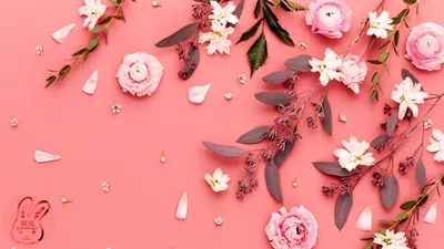 Обои на рабочий стол природа цветы - фото и картинки abrakadabra.fun