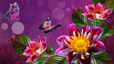 Обои на рабочий стол природа цветы - фото и картинки abrakadabra.fun