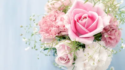 Обои 3Д Графика Цветы (Flowers), обои для рабочего стола, фотографии 3д,  графика, flowers, цветы, узор, фон, темный, цветок, цвета Обои для рабочего  стола, скачать обои картинки заставки на рабочий стол.