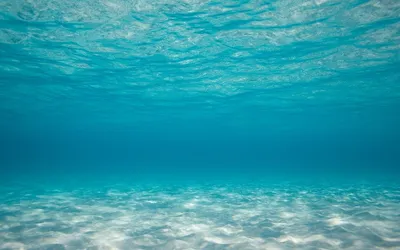 Под водой обои для рабочего стола, картинки Под водой, фотографии Под водой,  фото Под водой скачать бесплатно | FreeOboi.Ru