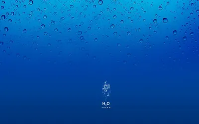 Обои для рабочего стола Рыбы Подводный мир Под водой бывает всякое