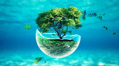 Вишня в воде скачать фото обои для рабочего стола