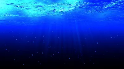Обои \"Под Водой\" на рабочий стол, скачать бесплатно лучшие картинки Под  Водой на заставку ПК (компьютера) | mob.org