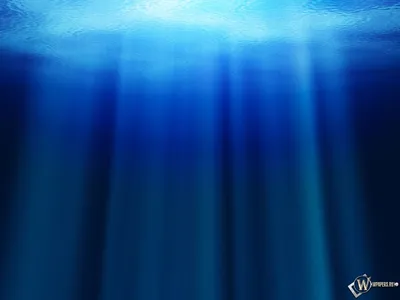 Обои для рабочего стола Бавария Лебеди Германия Природа Реки воде