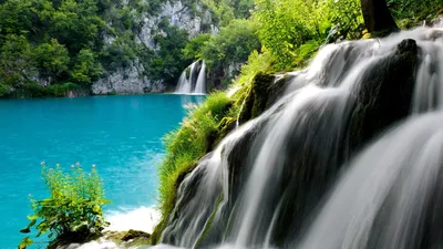 Красные цветы у водопада - обои для рабочего стола, картинки, фото