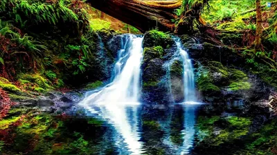 Водопад в осеннем лесу (Много фото!) - treepics.ru
