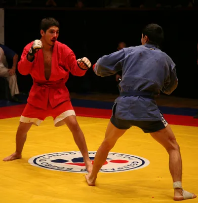 Спортивное самбо - Международная школа единоборств \"RUS FIGHT\"