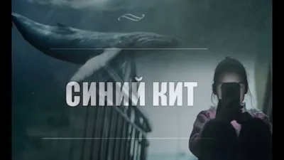 Котята! (Павел Лобода) / Стихи.ру