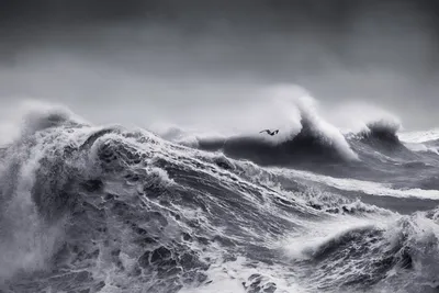 шторм на море. Photographer Victor Peryakin
