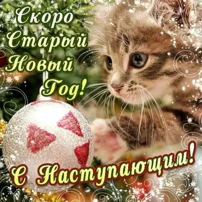 Картинки с надписями. Со Старым Новым годом тебя! .