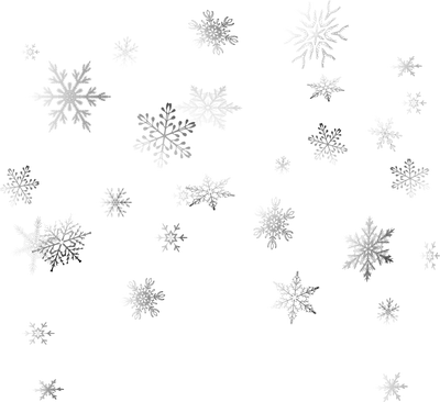 Бумага режет снежинки с тенью изолированы на прозрачном фоне. Christmas and  New Year 's design template, mockup. Заготовка рождественских украшений .  Векторное изображение ©Ann_Zasimova 283194096
