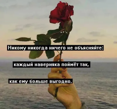 Афина - богиня мудрости - Диагноз по аватарке. Психолог о том, что говорит  фото, которое мы выбираем для соцсетей. Как утверждает психология, все в  этом мире не случайно. У любого нашего поступка