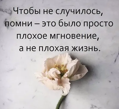 Психологический портрет по аватару. По каким признакам люди выбирают себе  аватарки. | ⚜Ведьмины заметки⚜ | Дзен