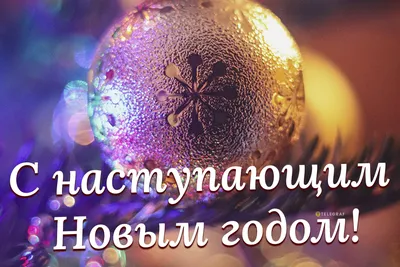 Подарок на Новый год. Детская книга, стихи для малышей | Gri and Dana Books