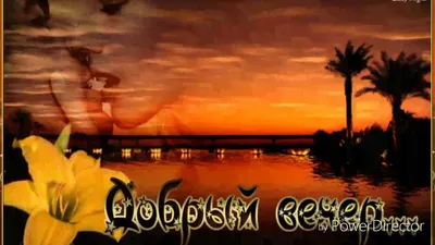 Зиму хочется не только из-за снега и Нового года. Просто зимой больше  верится в чудеса. | Говорит Никольск | ВКонтакте