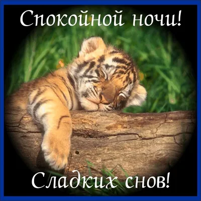Необходимые слова на Немецком языке(Deutsch) | Что-то Interesting | Дзен