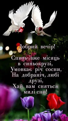 Доброї ночі | Movie posters, Emotions, Holidays and events