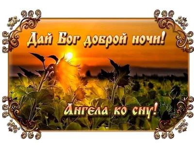 Спокойной ночи, дорогие подписчики! Спокойной ночи, Запорожье! - Лента  новостей Запорожья