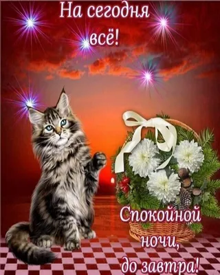 Спокойной ночи, дети. 365 сказок \"Глория\" (укр) — Купить Дешево с доставкой  по Украине - nosorog.net.ua