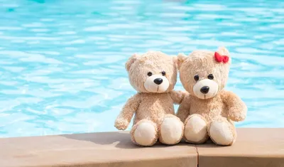 Плюшевый мишка мастерская Build-A-Bear плюшевые игрушки и плюшевые игрушки,  игрушки, фотография, обои для рабочего стола, морда png | Klipartz