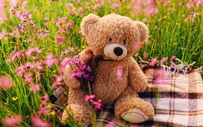 Скачать обои I Love You Teddy Bear, Любовь, You, Teddy, Медведь в  разрешении 2880x1800 на рабочий стол