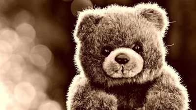 Фотография Me and Teddy Alessandro Di Cicco девушка Плюшевый мишка