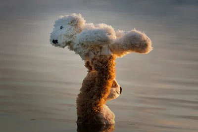 Обои childhood, teddy bear, осень, одинокую, trees, Обои little girl,  ребенок, дети, маленькая девочка, дорога, road, lonely, autumn, children,  child, деревья, плюшевого мишку, детство на рабочий стол