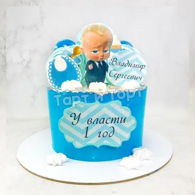 Торт на 1 годик мальчику велюр (261) - купить на заказ с фото в Москве