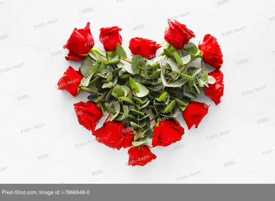 букет цветов на белом фоне фотография Stock | Adobe Stock