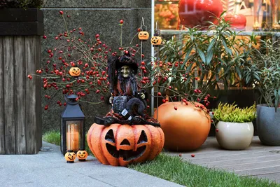 смешные тыквы halloween стоковое изображение. изображение насчитывающей  ворох - 61601947