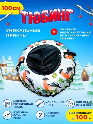 Катание на тюбинге (ватрушке) — один и из самых травмоопасных видов отдыха  | 09.12.2021 | Орехово-Зуево - БезФормата