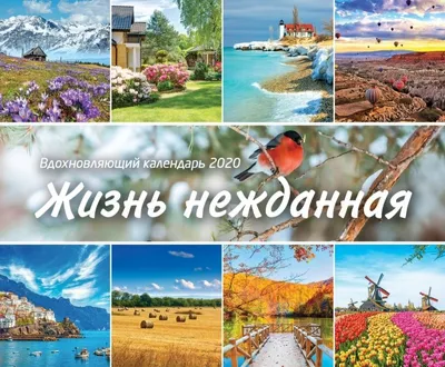 ЖИТЬ - Становитесь лучше и счастливее с каждым днём! ☀️ Вдохновляющие и  мотивирующие слова от нашей подписчицы Виктории Томал ☺️ \"Я верю в волю  человека. От нас зависит, станем мы проводниками добра