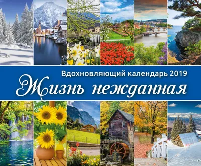 Вдохновляющая Цитата Жизни Мотивации Ручная Рисованная Винтажная  Иллюстрация Надписями Декоративными Векторное изображение ©jane55 342498298