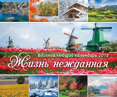 Вдохновляющие цитаты, мудрые слова и полезные советы. МОТИВАЦИЯ,  ПСИХОЛОГИЯ, МУДРОСТЬ, САМОПОЗНАНИЕ, САМОРАЗВИТИЕ, ДУХОВНОСТЬ, НРАВСТВЕНОСТЬ  | мама на даче / mari_vlog92 | Дзен