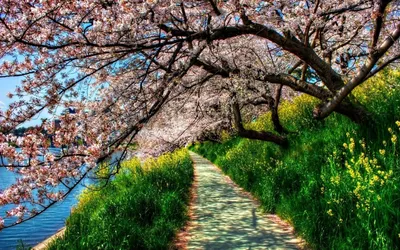 Картинки на рабочий стол природа весна красивые большие весь экран (68  фото) » Картинки и статусы про окружающий мир вокруг