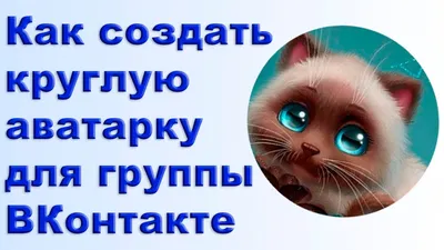 Крутые картинки в вк (48 фото) ⭐ Юмор, картинки и забавные фото | Картинки,  Забавные фото, Забавности