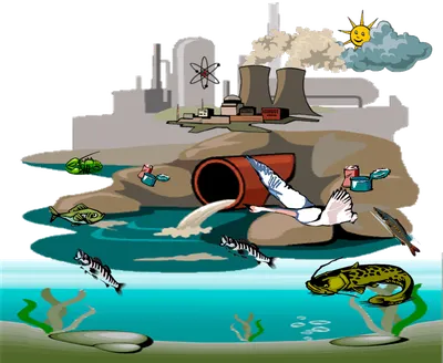 Обществознание 7кл