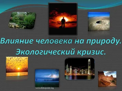 Влияние человека на природу родного края». 2021, Мишкинский район — дата и  место проведения, программа мероприятия.