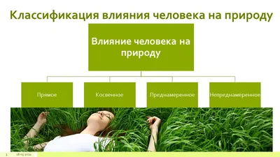 Влияние человека на природу. Экологический кризис - YouTube