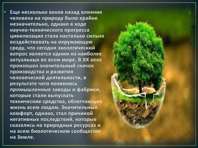 Антропогенное влияние на изменение экологического состояния почвы