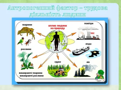Земля - наш дом. Влияние человека на природу. Как можно решить проблемы  окружающей среды? | Your day | Дзен