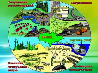 Рисунок воздействие человека на природу - 69 фото