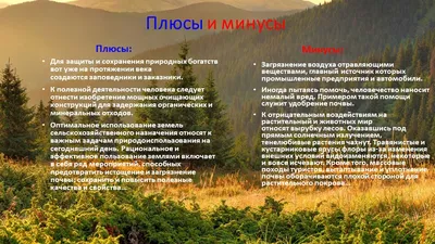Влияние человека на окружающую среду. Глобальные экологические проблемы •  Биология, Экология • Фоксфорд Учебник