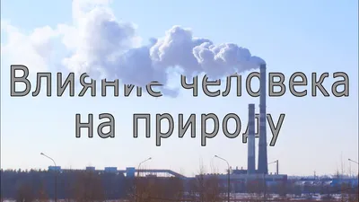 Ученые рассчитали минимальную \"дозу природы\" для человека - Российская  газета