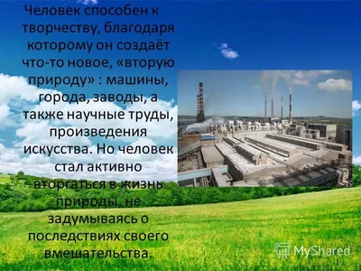 Как меняются отношения человека и природы | РБК Тренды