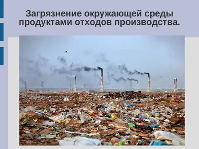 Влияние человека на природу. Современный мир и экология - YouTube