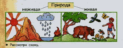 Картинки прямое воздействие человека на природу (67 фото) » Картинки и  статусы про окружающий мир вокруг
