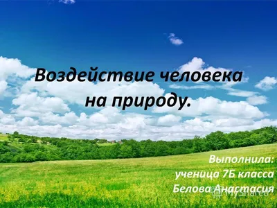 Презентация \"Влияние человека на экосистемы\" 11 класс