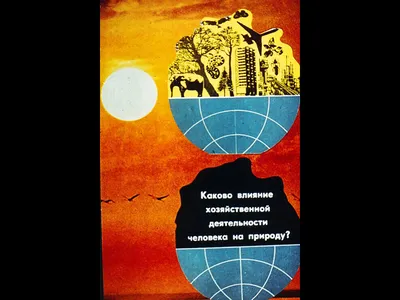 Единение с природой. Влияние природы на душу человека | Анна Косьянова |  Дзен